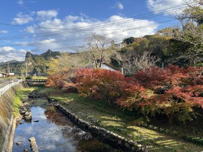 天念寺の紅葉の様子2枚目