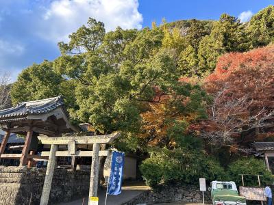 天念寺の紅葉の様子2枚目
