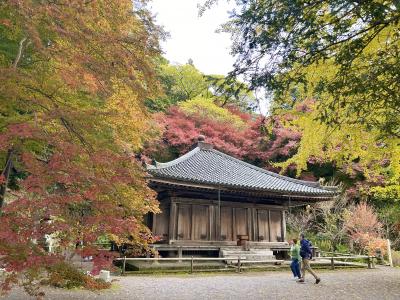 富貴寺の紅葉の様子1枚目