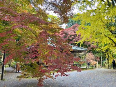 富貴寺の紅葉の様子2枚目