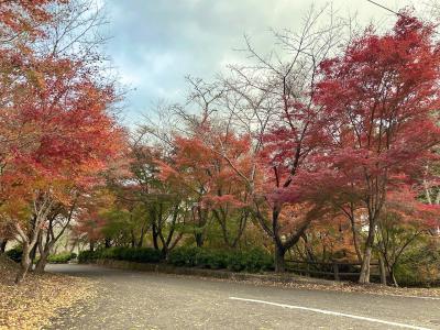 並石ダムの紅葉の様子2枚目