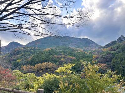 夷耶馬の紅葉の様子2枚目