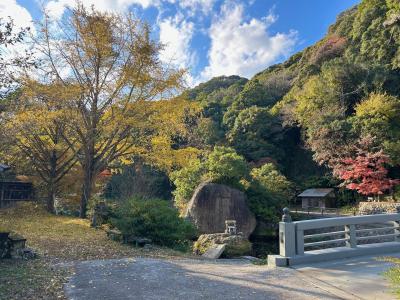 天念寺周辺の紅葉の様子3枚目