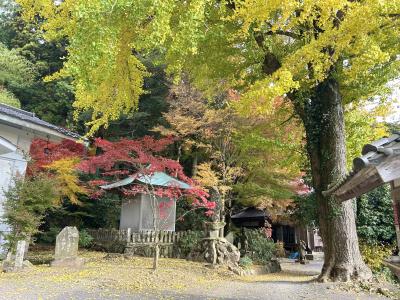 長安寺の紅葉の様子2枚目