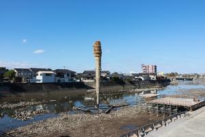 立ち上がったおおたいまつの写真