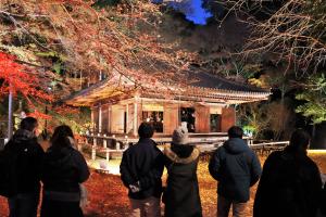 参拝する人たちの写真