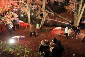 参拝者が和傘のライトアップを楽しんでいる写真