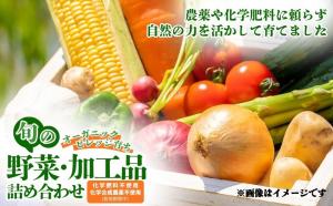 夢叶野菜の詰め合わせ