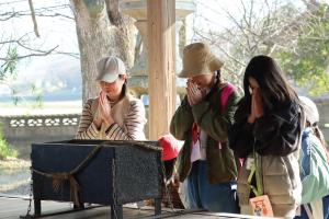 五社参りの写真