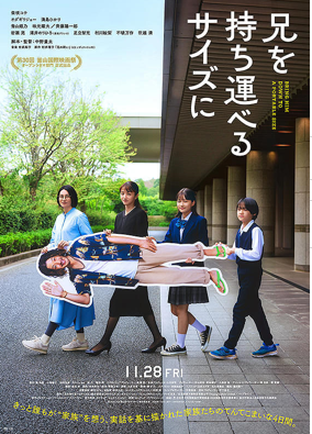 兄を持ち運べるサイズに