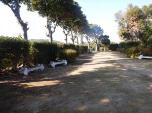 来縄児童公園広場