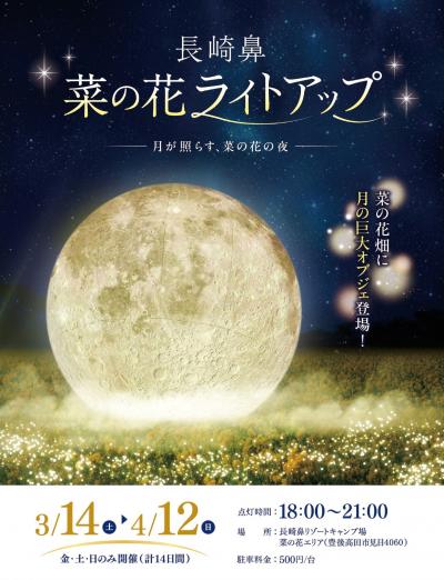 菜の花ライトアップチラシ画像