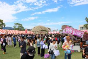 豊後高田五月祭の写真