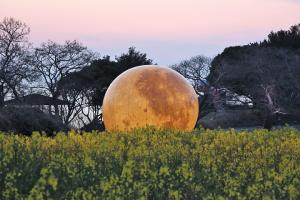 夕方で暗くなりほのかに光る月のオブジェ