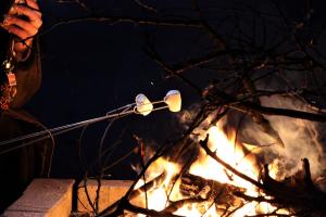 焚火での焼きマシュマロ体験