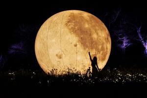 シルエット写真も撮影できます。