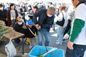 白ねぎつかみ取りの写真