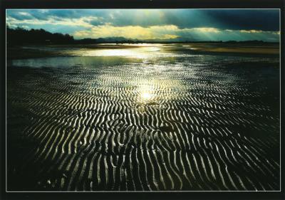 真玉海岸の部の最優秀賞作品