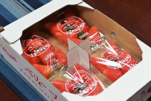 大上農園のいちごの写真