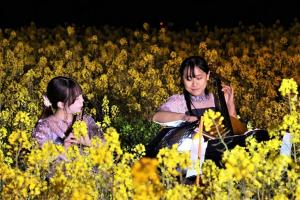 菜の花畑の中での演奏の様子