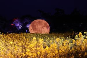 3月28日のイベントの様子