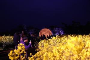 3月28日のイベントの様子２