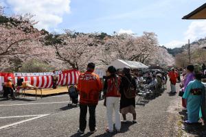 こっとん村さくらまつりの写真