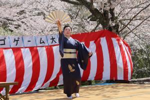 日本舞踊の写真