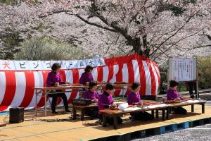 大正琴演奏の写真