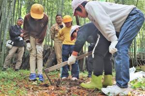 タケノコ堀りの様子２枚目