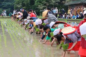 御田植祭の様子