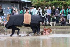 アトラクションの様子２枚目