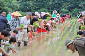 田植え交流会の様子