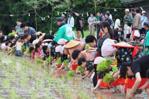 田植え交流会の様子２枚目