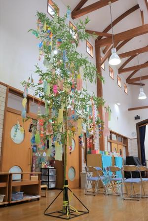 キラリいろ幼稚園の園児と老人クラブの皆さんで飾り付けられた笹の写真