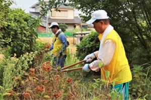 剪定や草刈りの様子