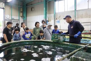 いけすの中の魚を見学する様子