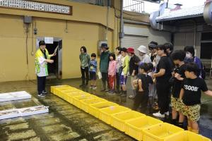 魚市場の見学の様子
