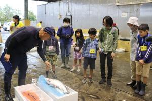 魚市場の見学の様子