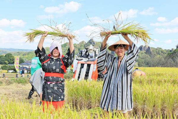稲刈り交流会の様子