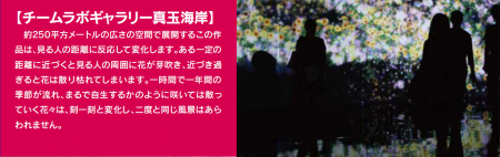 共通3館券で楽しめる各施設をご紹介の画像2