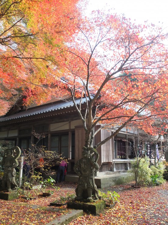 紅葉時の美しい境内の画像