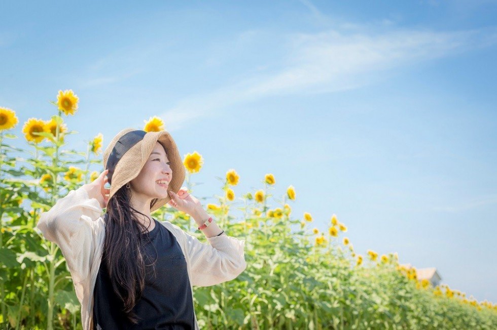 花とアートの岬（●▲■全角スペース禁止：スマホで体裁が崩れるため使用しないで下さい●▲■●▲■●▲■●▲■●▲■●▲■●▲■●▲■●▲■●▲■●▲■●▲■●▲■●▲■）長崎鼻（ながさきばな）の画像