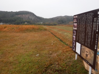 現在のカワラガマ遺跡の画像