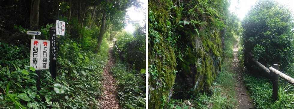 階段を過ぎるとなだらかな道が現れます（左）、岩肌の見える小道（右）の画像