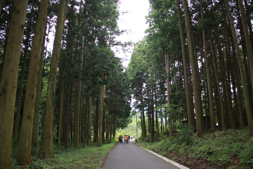 田染荘里山エリアを先取り！～重要文化的景観選定先取りウォーク～の画像3