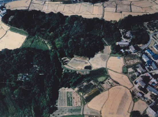 上空から見た入津原丸山古墳（清水宗昭氏　写真提供）の画像