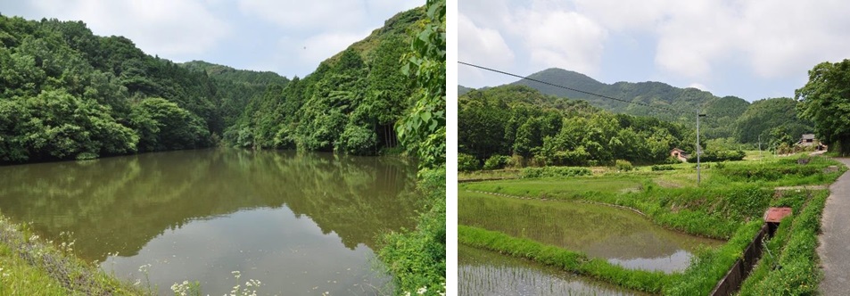 愛宕池（左）、キレイケ跡地（右）の画像