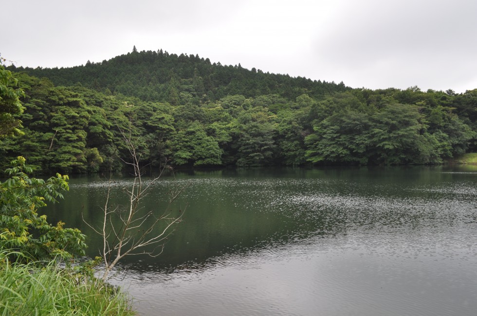 空木池の画像