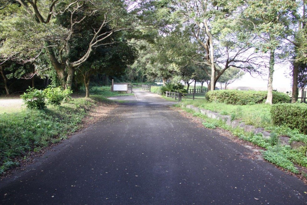 尾崎海岸（大分県立香々地青少年の家）の画像1